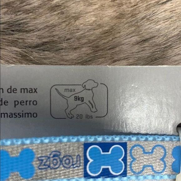 Rogz Pupz Blue Reflective Dog Long Thin Coolest Pet Dog Bone Silver‎ Leash - Picture 5 of 6